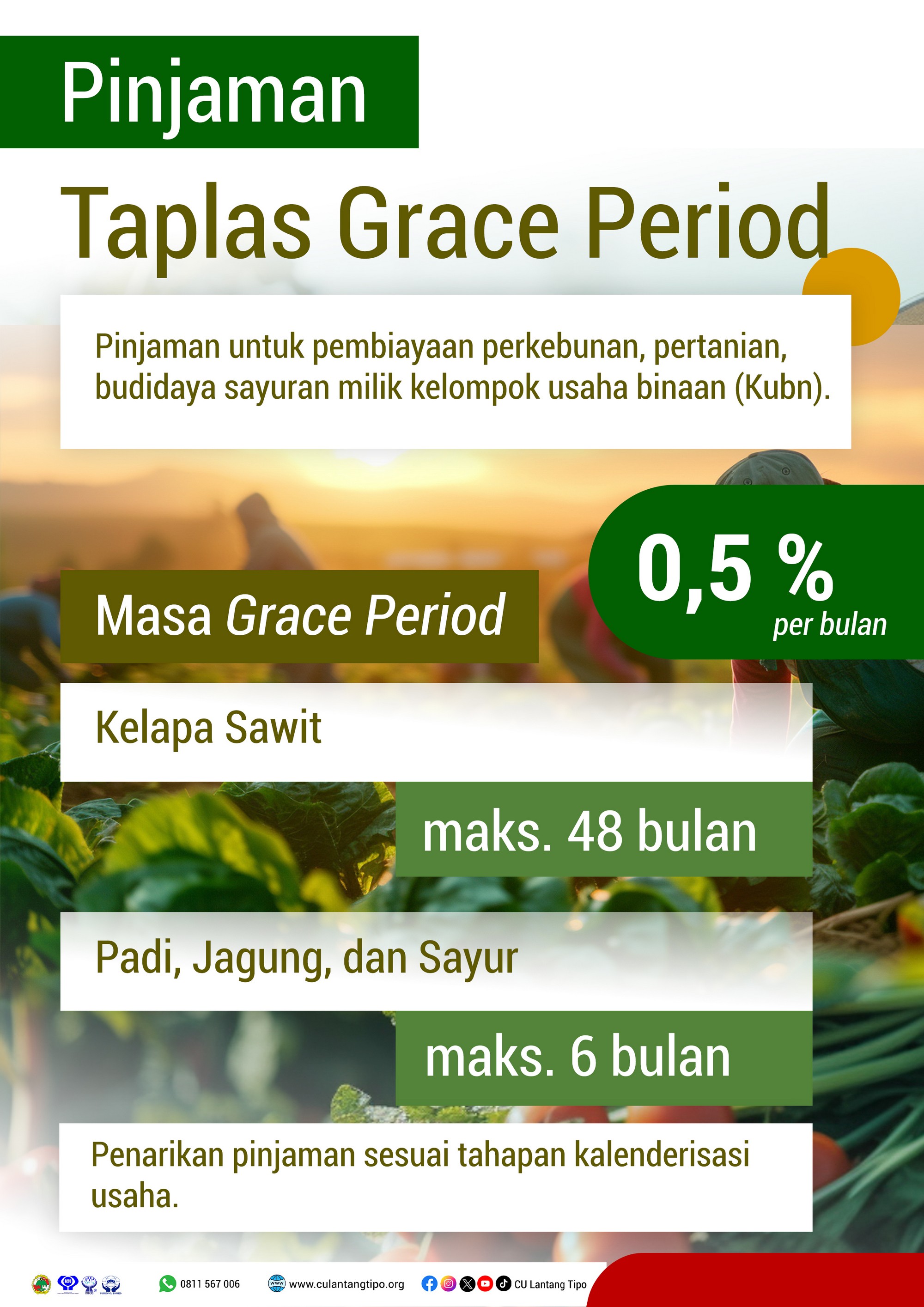 TAPLAS GP
